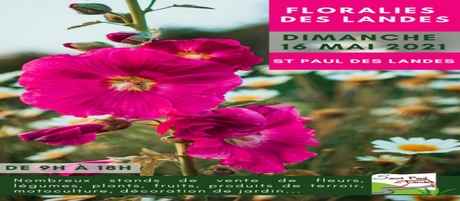 Floralies-des-landes bandeau site