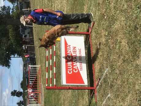 concours de ring 28 et 29 aout 2021 à Reilhac pres d Aurillac dans le Cantal (1)