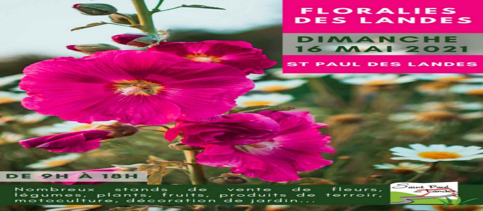Floralies-des-landes bandeau site